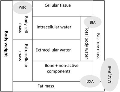 Assessment of Undernutrition in Pediatric Chronic Kidney Disease - Gaps and Opportunities